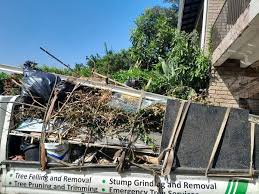 Best Shed Removal  in Prces Lakes, IN
